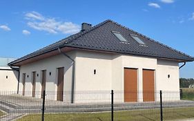 Różana 51